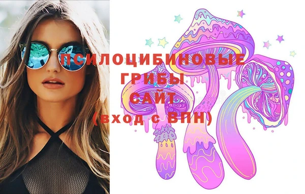 дурь Нея