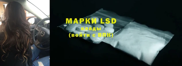 сатива Аркадак